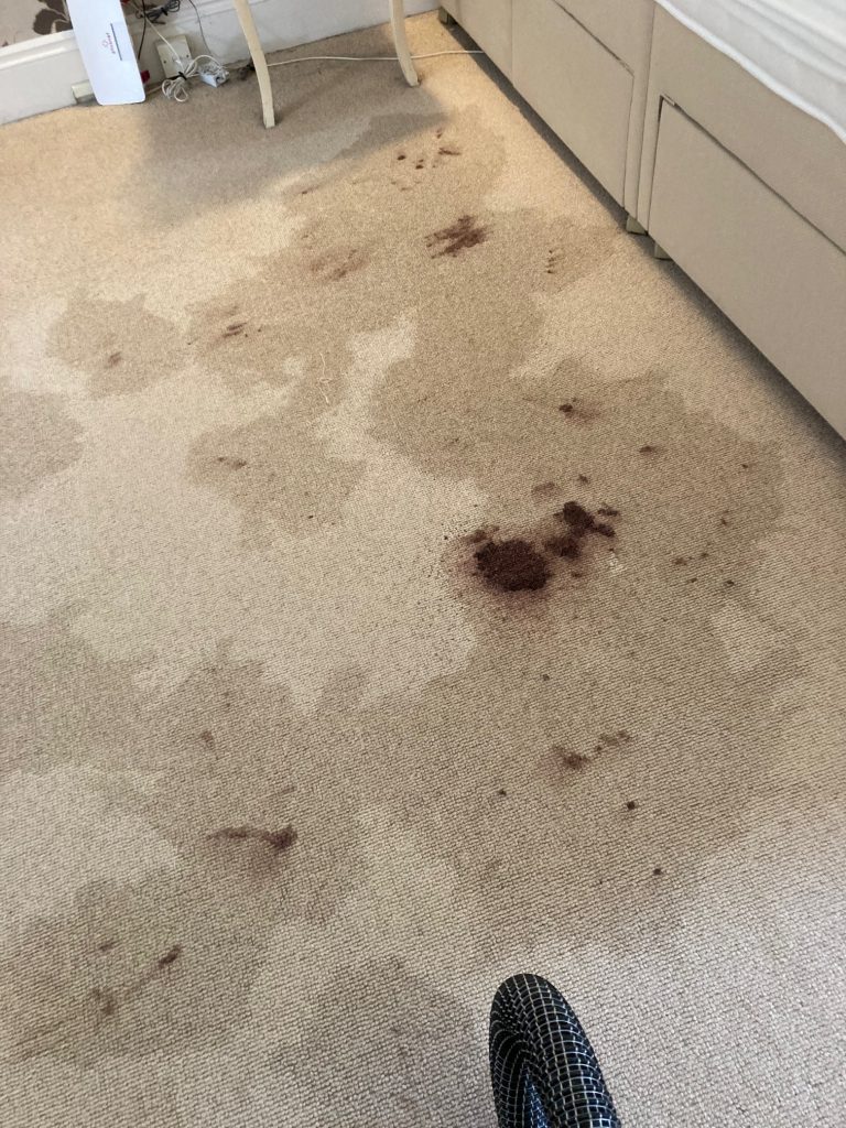 Second carpet area showing dark stains and wear before professional cleaning