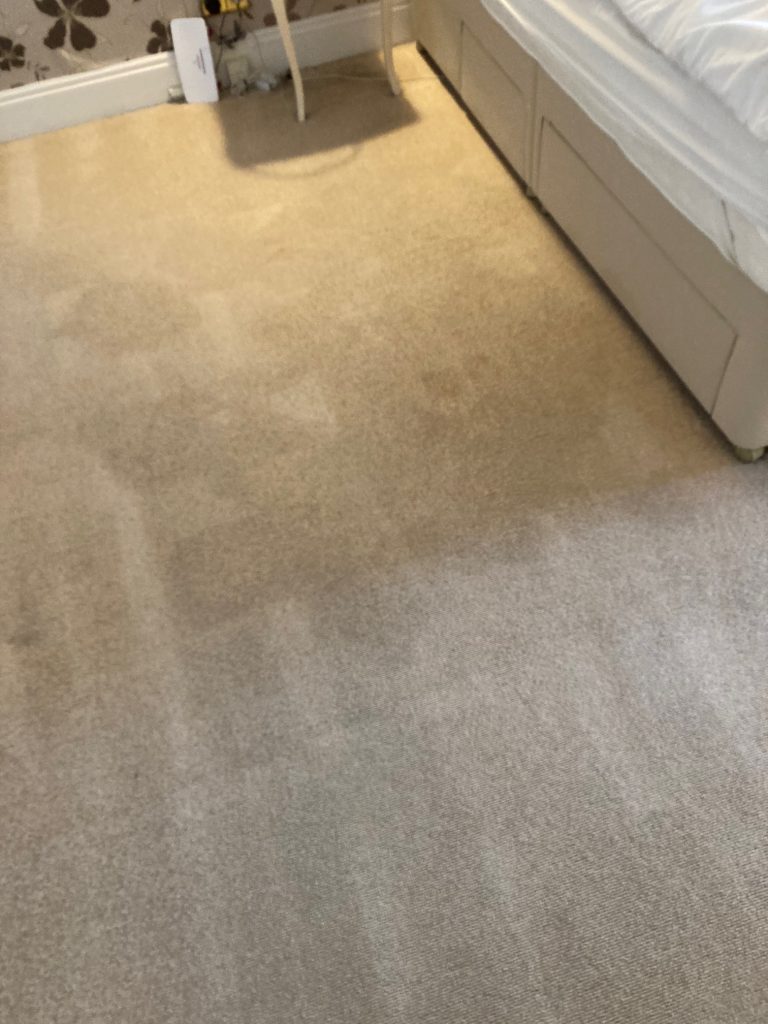 Second carpet area restored to a clean, even finish after professional cleaning